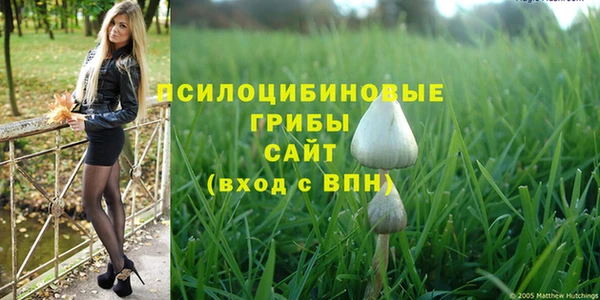 прущая мука Медвежьегорск