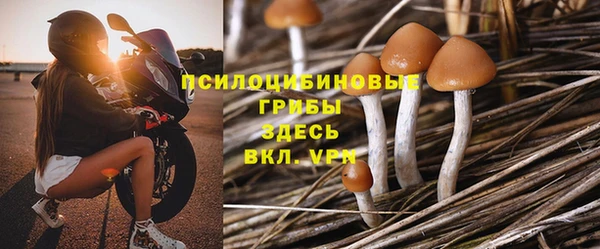 соль ск Медногорск
