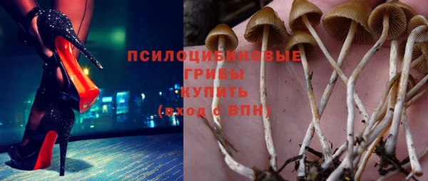 соль ск Медногорск