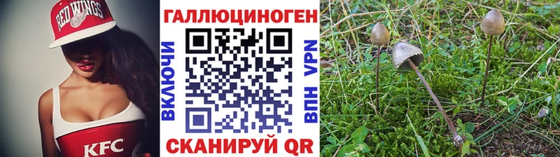 Галлюциногенные грибы MAGIC MUSHROOMS  Гдов 